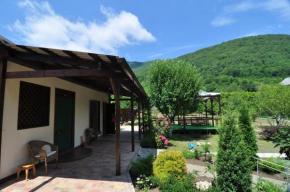 Guesthouse Gornyy Vozdukh